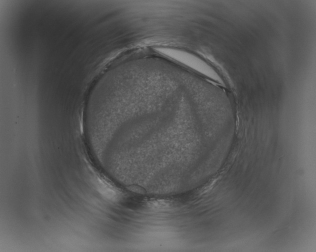 X0000073430062200608181157