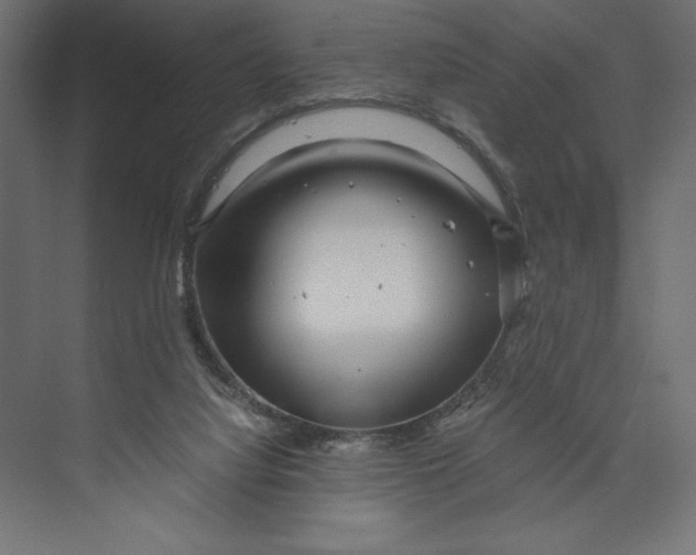 X0000073430068200608181157