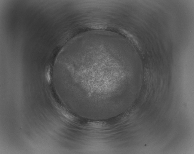 X0000073430069200608181158