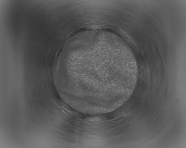 X0000073430075200608181158