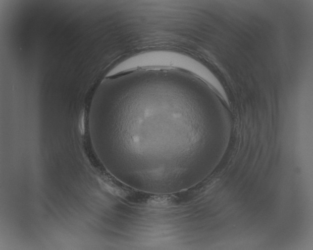 X0000073430076200608181158