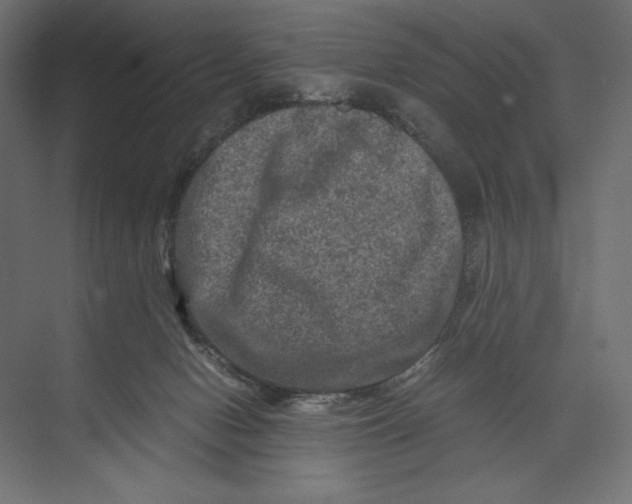 X0000073430078200608181158