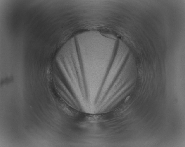 X0000073430079200608181158