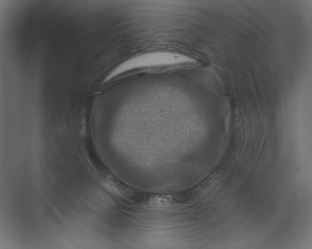 X0000073430080200608181158