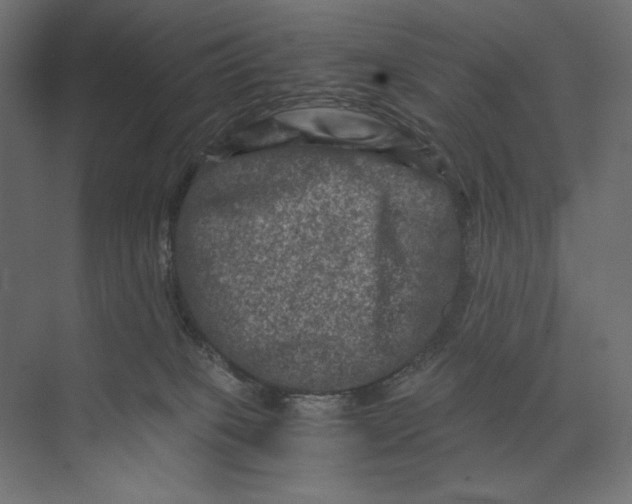 X0000073430085200608181158