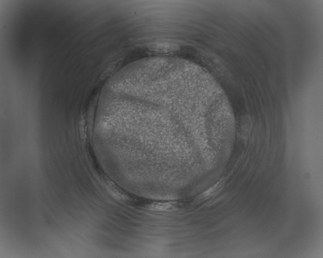X0000073430086200608181158