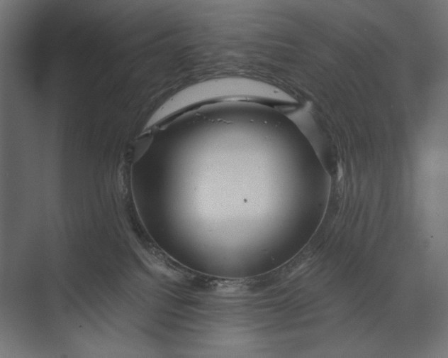 X0000073430088200608181158