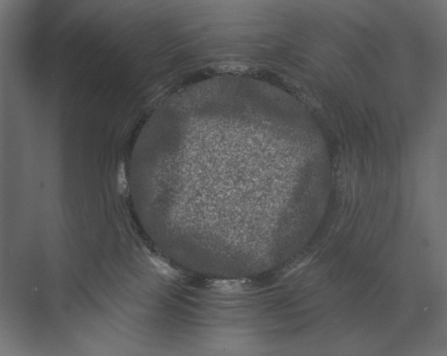 X0000073430089200608181158