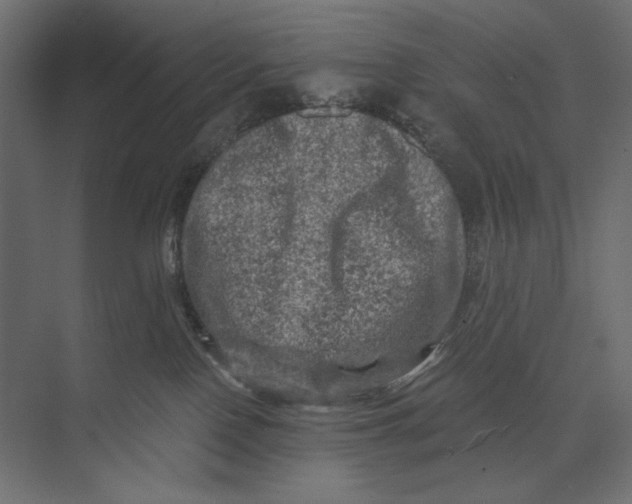 X0000073430090200608181158
