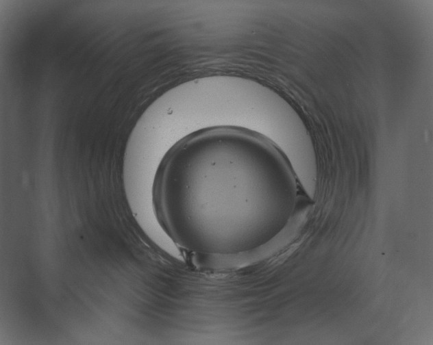 X0000073430096200608181158