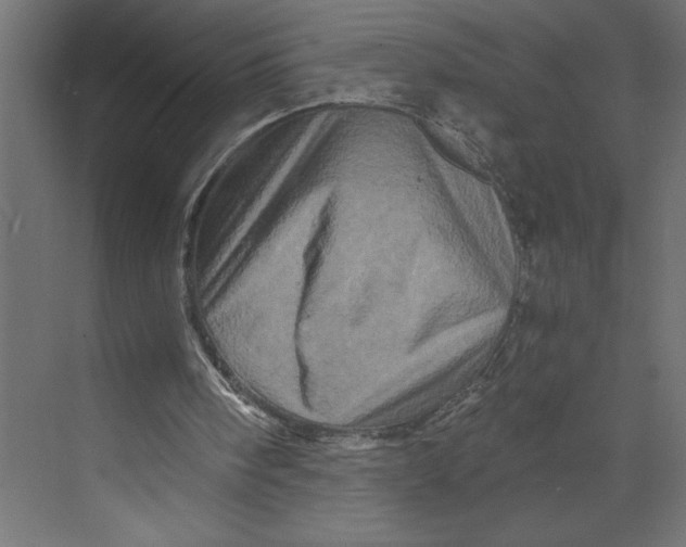 X0000073430098200608181157