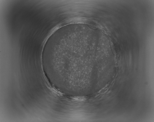X0000073430099200608181157