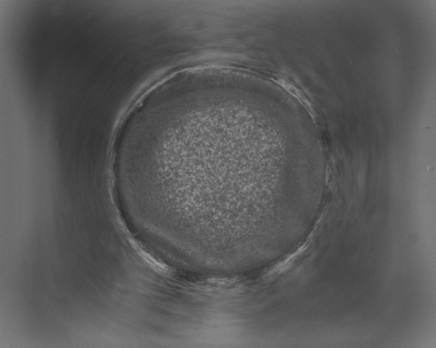 X0000073430101200608181157