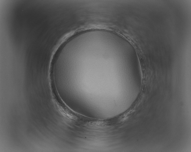 X0000073430104200608181157