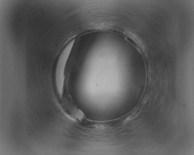 X0000073430105200608181157
