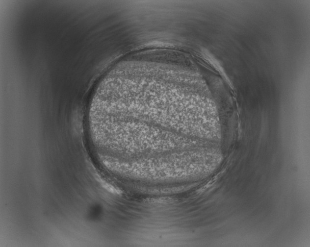 X0000073430106200608181157