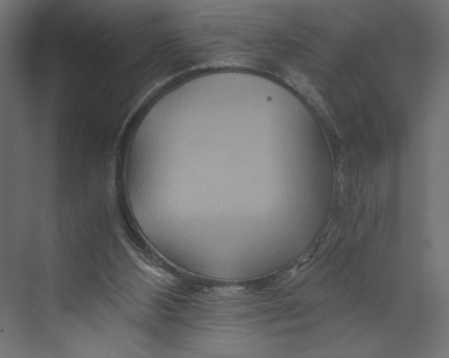 X0000073430108200608181157