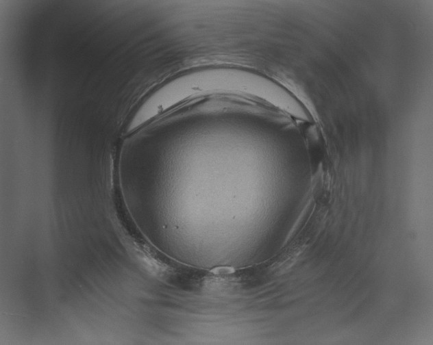 X0000073430109200608181157