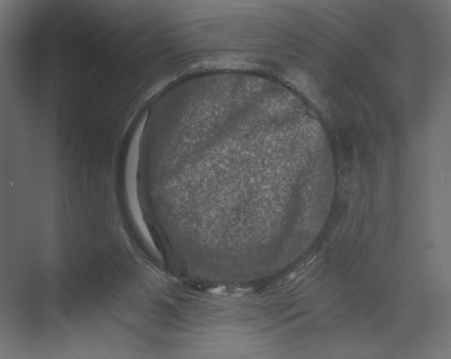 X0000073430111200608181157