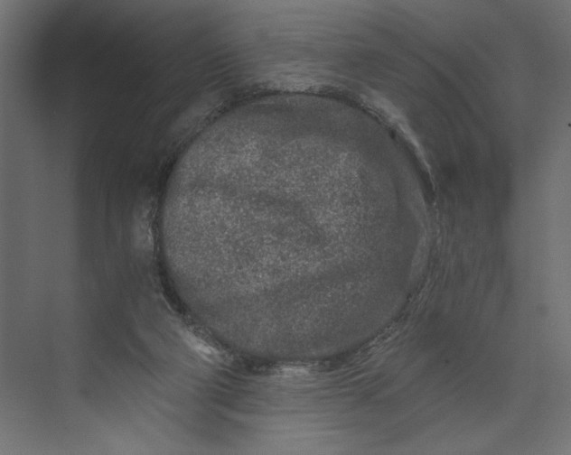 X0000073430114200608181157