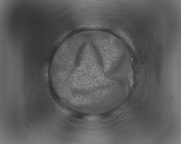 X0000073430115200608181157
