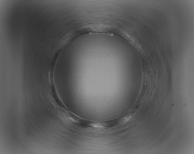 X0000073430117200608181157