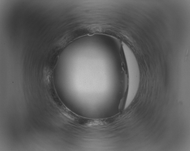 X0000073430125200608181157