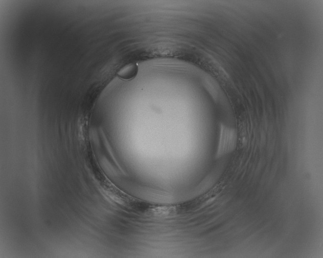 X0000073430126200608181157