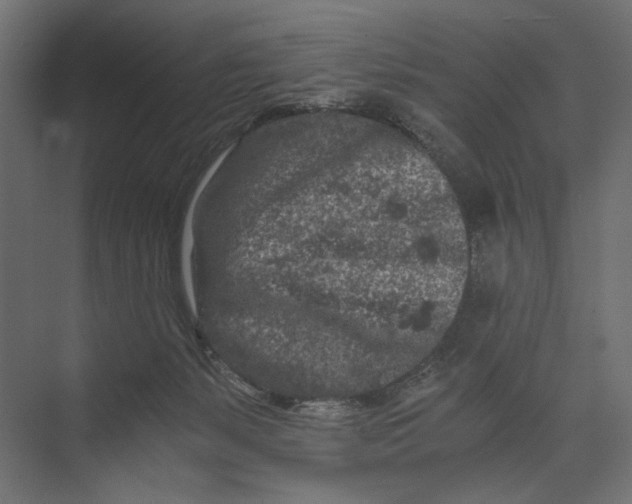 X0000073430127200608181157