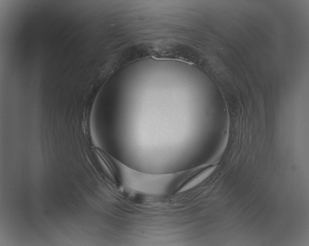 X0000073430129200608181157
