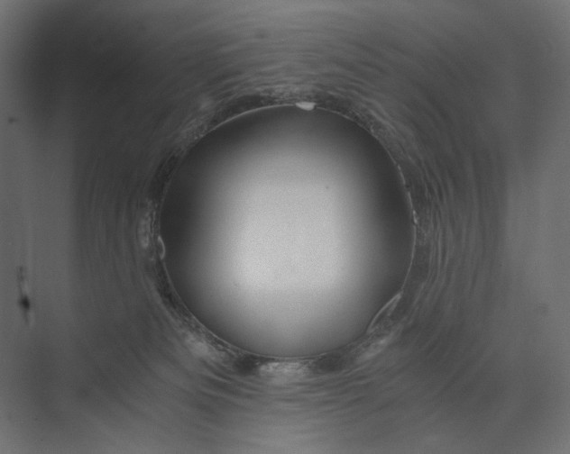 X0000073430133200608181157
