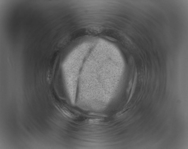 X0000073430134200608181157