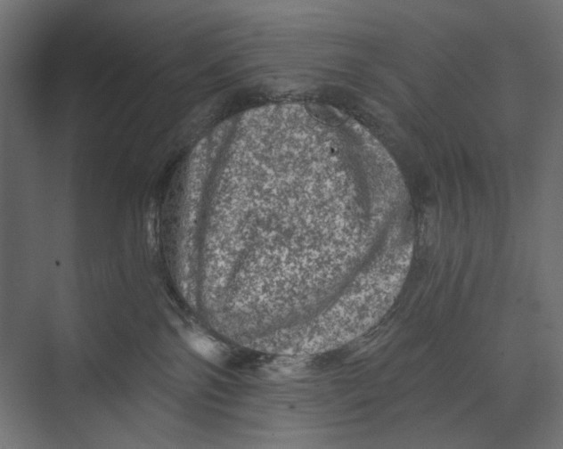X0000073430138200608181156