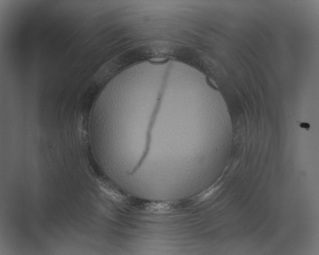 X0000073430140200608181156