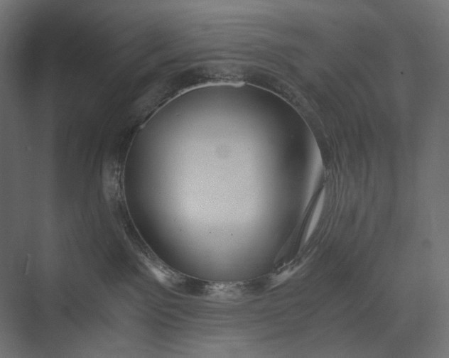 X0000073430141200608181156