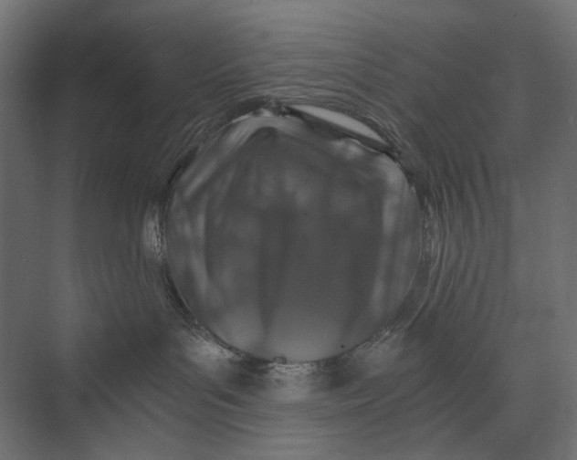 X0000073430143200608181156