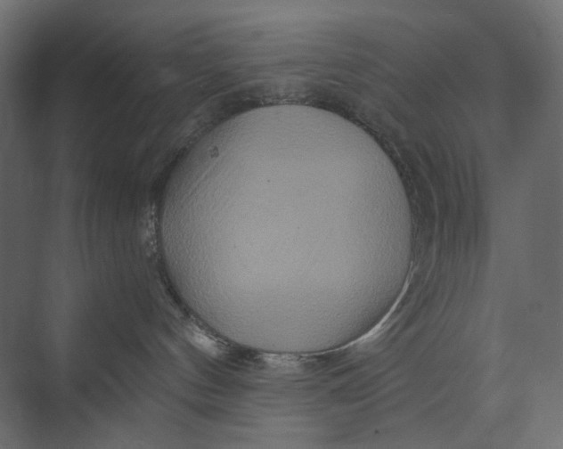 X0000073430144200608181156
