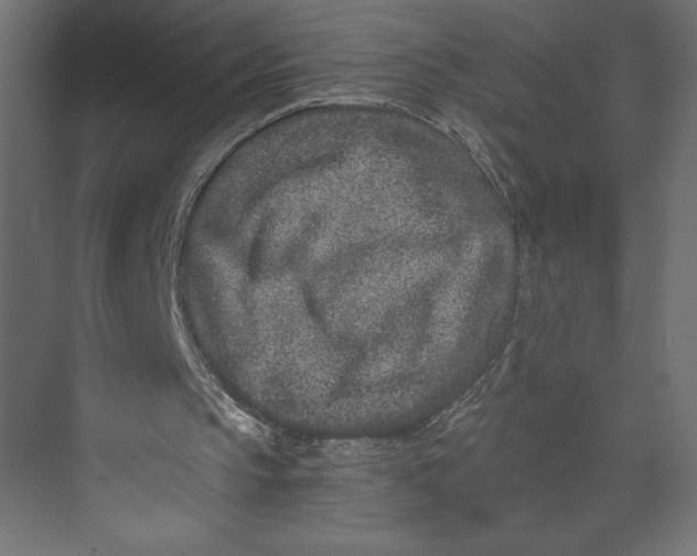 X0000073430145200608181156
