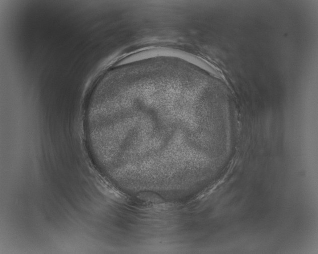 X0000073430149200608181156