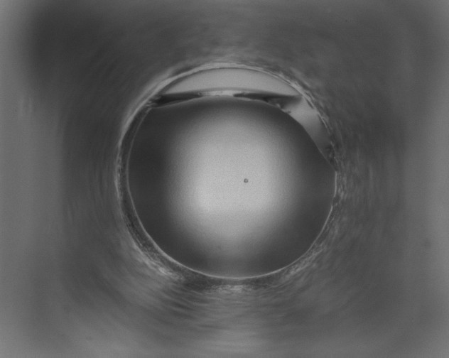 X0000073430152200608181156