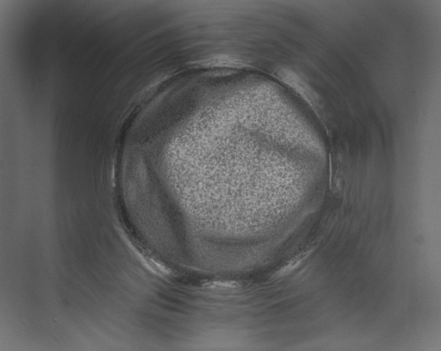 X0000073430157200608181156
