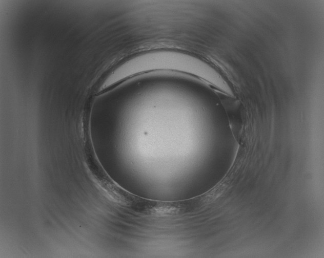 X0000073430158200608181156