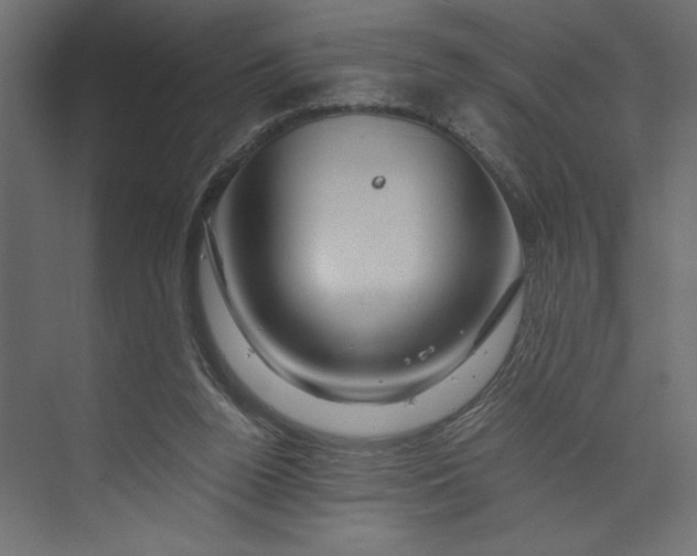 X0000073430160200608181156