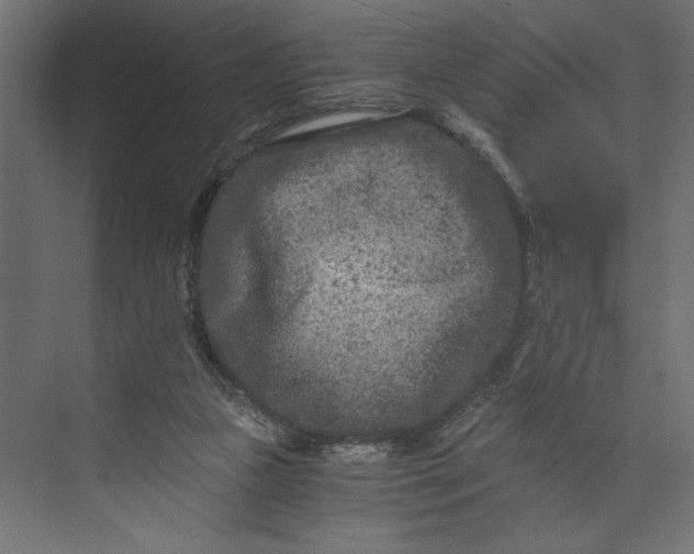 X0000073430161200608181156