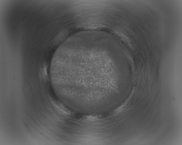 X0000073430166200608181156