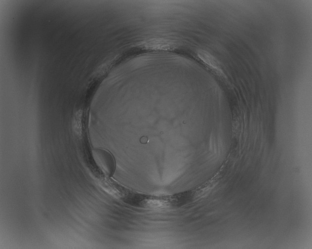 X0000073430167200608181156
