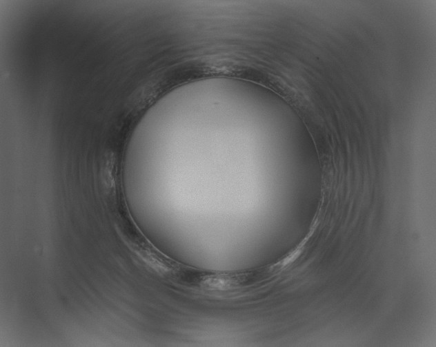 X0000073430174200608181156