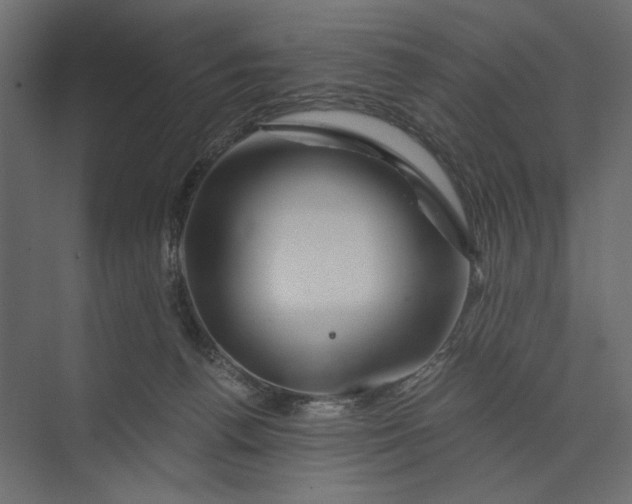 X0000073430176200608181156