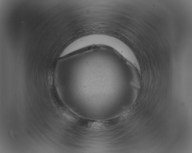 X0000073430180200608181156