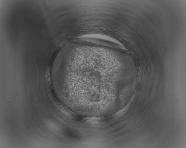 X0000073430182200608181156